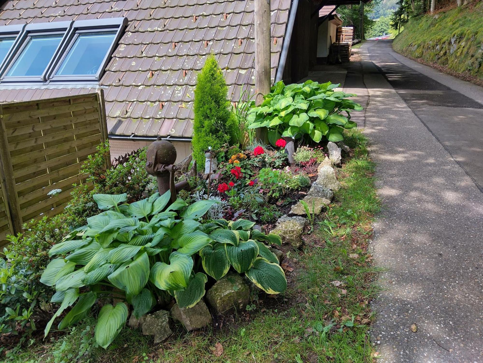 Haus "Guck - Ins - Tal" Sasbachwalden Exterior foto